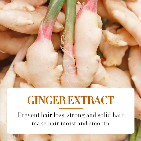 Ginger hair care serum